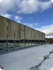 Fiberglass and steel entry doors